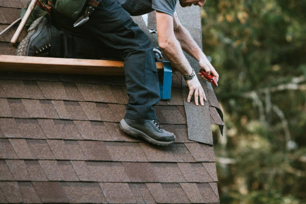 Best Roof Repair Services  in Hoback, WY